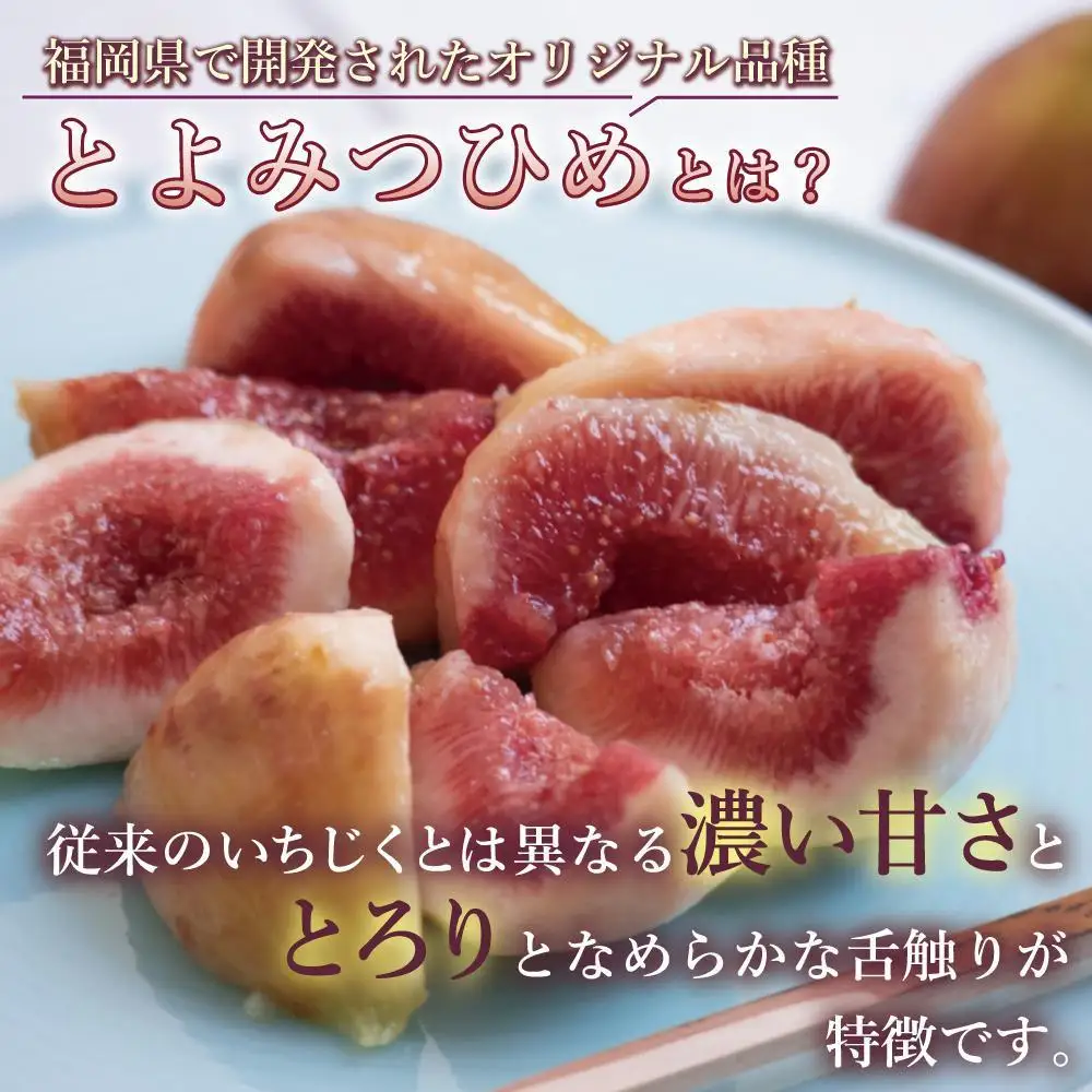 【福岡限定ブランド】いちじく とよみつひめ 300g×8パック ( 約2.4kg )| いちじく 福岡県産 果物 フルーツ とよみつひめ 福岡県 大川市