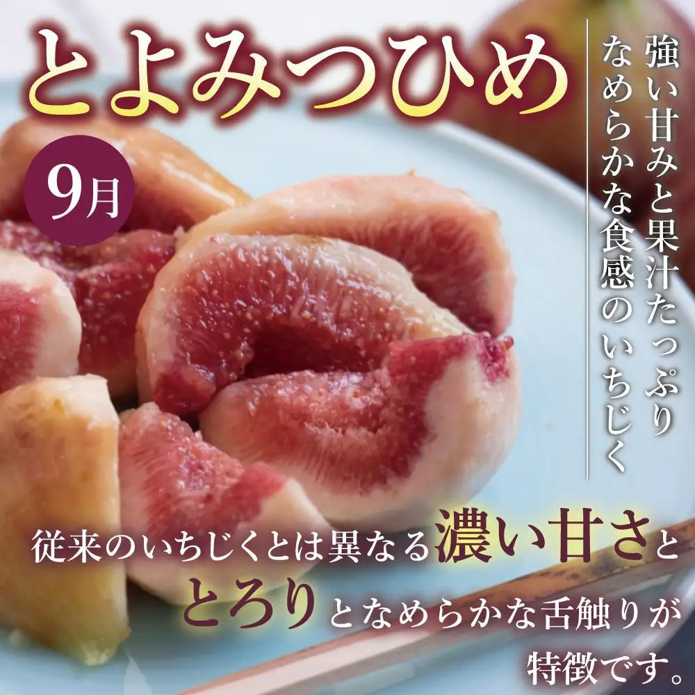 【全3回定期便】福岡県産フルーツ定期便