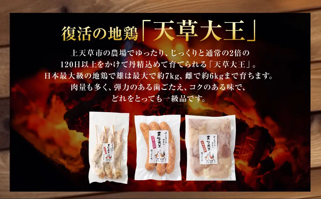 天草大王プレミアムバーベキューセット（大） 計18パック 天草大王 焼鳥 手羽先 串 ウインナー コロコロカット