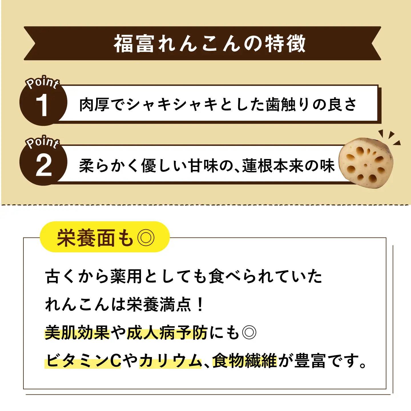【泥付き】【2026年9月〜発送】節切り 福富れんこん 約3kg（1.5kg×2箱） / れんこん [IBC004]