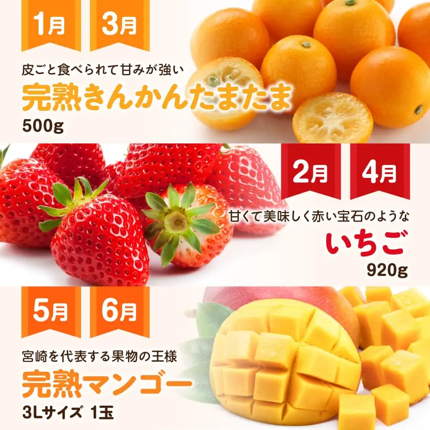 【 12ヶ月定期便 】 デラックス 定期便 【 川南町産 くだもの きんかん いちご 完熟 マンゴー ぶどう ピオーネ シャイン マスカット 大玉 メロン 】