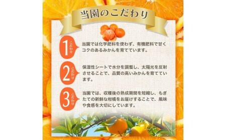 【2026年12月発送予約】 ご家庭用 こだわりの有田みかん 約5kg＋150g(傷み補償分)  光センサー選別 農家直送 / みかん ミカン 有田みかん 温州みかん 柑橘 フルーツ 果物 くだもの 旬 人気 みかん先行予約 家庭用 和歌山【nuk160-12D】