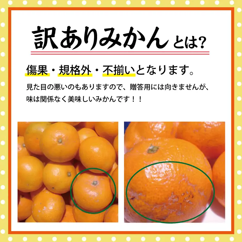 【訳あり】有田みかん 約5kg サイズ混合 みかん【nuk161E】 