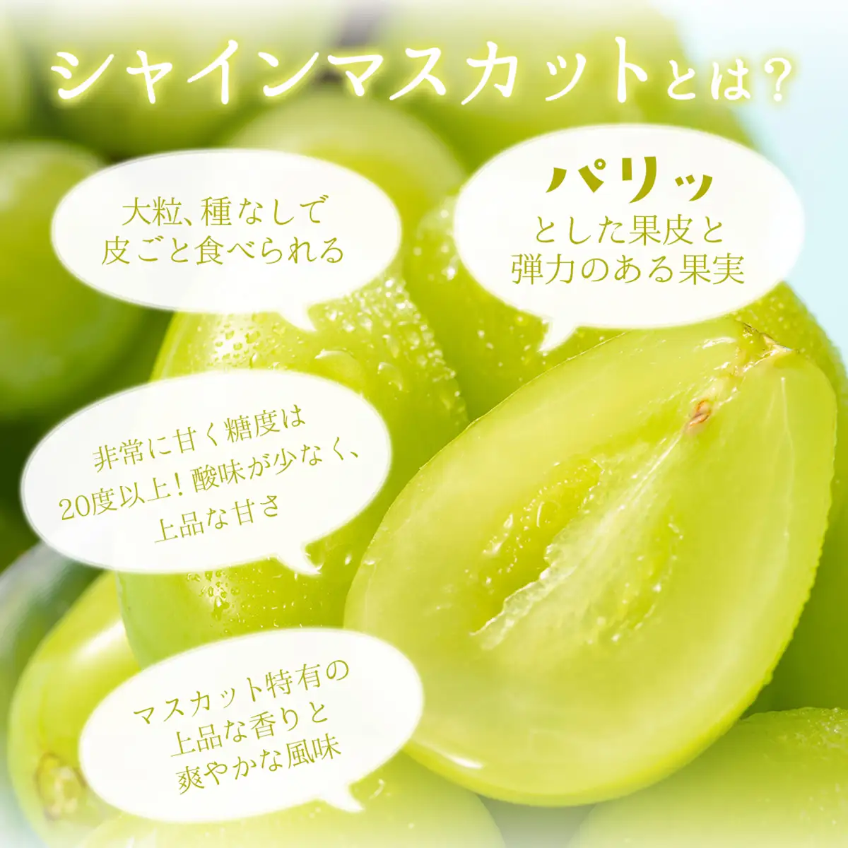 【期間限定】鏡野町産 シャインマスカット 2kg（2～4房）
