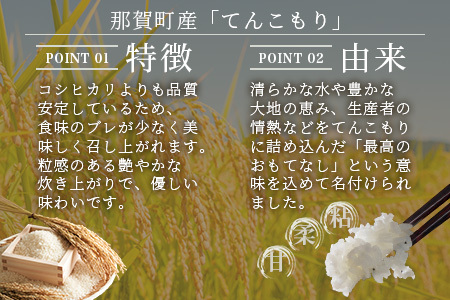 「令和6年産 新米 先行受付」 那賀町相生産 てんこもり 白米 10kg 1袋 「2024年10月上旬より発送」 【徳島 那賀 国産 徳島県産 特A ブランド米 お米 こめ おこめ 米 ご飯 ごはん 白ご飯 白米 10キロ 和食 おにぎり お弁当 白米 精米 おいしい 食べて応援 お取り寄せ 産地直送】YS-39