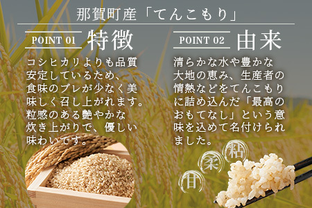 「令和6年産 新米 先行受付」 那賀町相生産 てんこもり 玄米 10kg 1袋 「2024年10月上旬より発送」 【徳島 那賀 国産 徳島県産 特A ブランド米 お米 こめ おこめ 米 ご飯 ごはん 玄米 10キロ 和食 おにぎり お弁当 玄米 おいしい 食べて応援 お取り寄せ 産地直送】YS-41