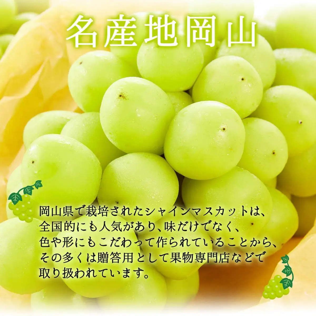 【数量限定】鏡野町産 瀬戸ジャイアンツ＆シャインマスカットセット 2kg（2～4房）