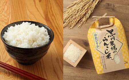 【2ヶ月定期便】 らんこし米 食べ比べ （ななつぼし・ゆめぴりか） 各2kg（黒川農場）【2024年10月下旬発送開始】 お米 米 コメ 白米 精米 ご飯 2kg 北海道 蘭越町