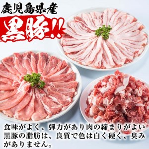 豚肉 黒豚セット 合計 3kg 豚肉 【Rana】A411-v02
