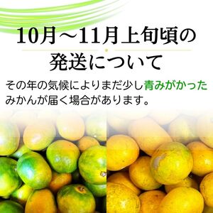 【2026年11月発送】＼光センサー選別／農家直送 【家庭用】こだわりの有田みかん　約5kg＋150g(傷み補償分) みかん ミカン 有田みかん 温州みかん 柑橘 有田 和歌山 ※北海道・沖縄・離島配送不可/みかん ミカン 有田みかん 温州みかん 柑橘 有田 和歌山 産地直送【nuk160-11C】