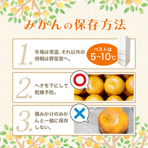 【2026年12月分】  ＼光センサー選別／農家直送 【家庭用】こだわりの有田みかん　約5kg＋150g(傷み補償分) みかん ミカン 有田みかん 温州みかん 柑橘 有田 和歌山 ※北海道・沖縄・離島配送不可/みかん ミカン 有田みかん 温州みかん 柑橘 有田 和歌山 産地直送【nuk160-12D】