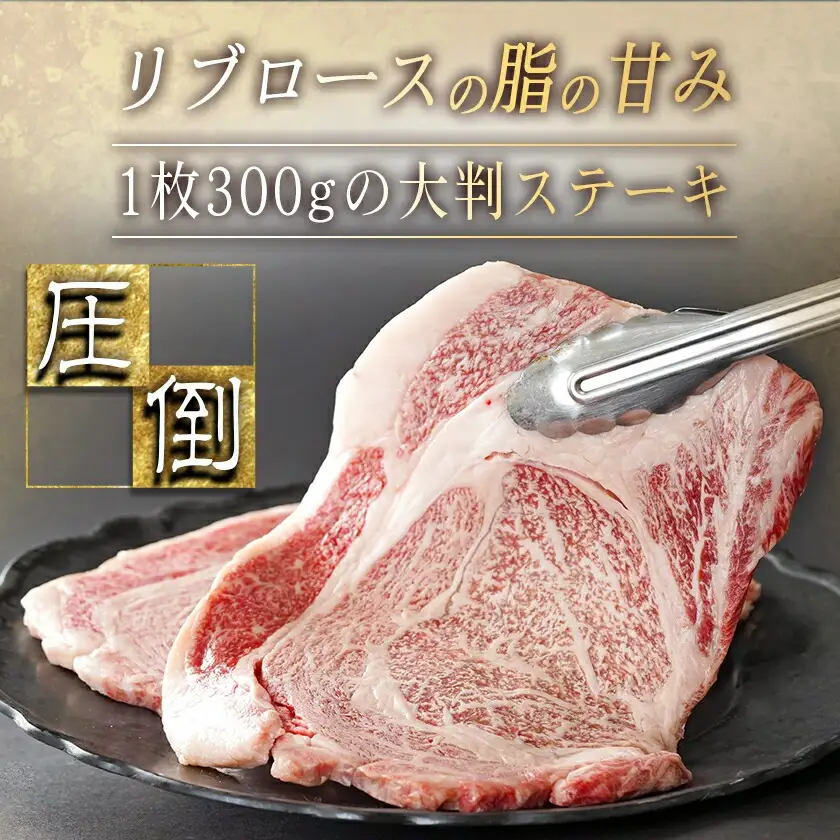 宮崎牛リブロースステーキ300g×2枚&モモサイコロステーキ200g×2袋〔22-2501〕_(都城市) 都城産 宮崎牛 牛肉 霜降り ステーキ リブロース モモサイコロ 300g×2枚 200g×2袋 600g 400g