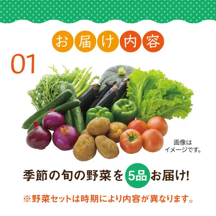 【全2回定期便】壱岐産米（つや姫）5kg・旬の野菜 5品《壱岐市》【壱岐市農業協同組合】お米 季節 セット ごはん[JBO132] 九州