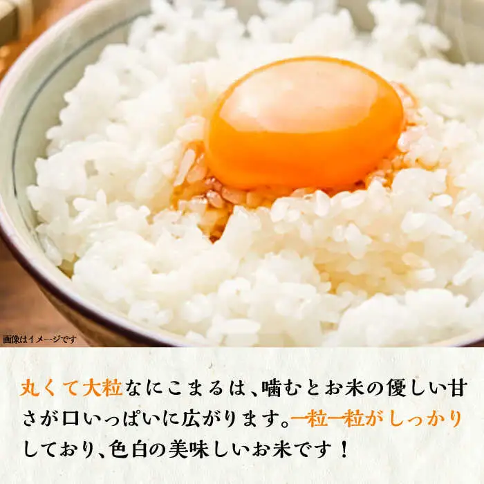 【全2回定期便】壱岐産米 にこまる 5kg《壱岐市》【壱岐市農業協同組合】[JBO134]