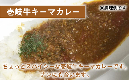 【全2回定期便】壱岐牛キーマカレー 10個《壱岐市》【壱岐味噌工房】黒毛和牛 ブランド牛 九州 カレー 牛肉 [JBW037]