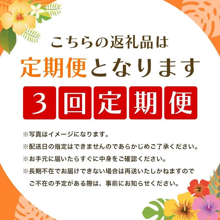 フルーツ 定期便 全 3回 名護パイン園 178-5