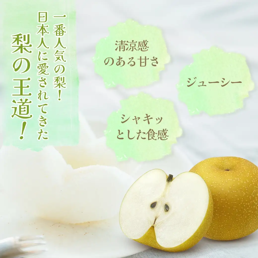 市川の梨　幸水　3kg（5～10玉）　【12203-0257】