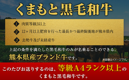 くまもと黒毛和牛 サーロインステーキ  750g  牛肉 冷凍 《30日以内に出荷予定(土日祝除く)》 くまもと黒毛和牛 黒毛和牛 冷凍庫 個別 取分け 小分け 個包装 ステーキ肉 にも サーロインステーキ 美味しい牛肉 熊本牛肉 ジューシー牛肉 贅沢な牛肉 