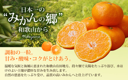 【1月発送予約】有田みかん 約5kg＋150g(傷み補償分) みかん【nuk160-01B】