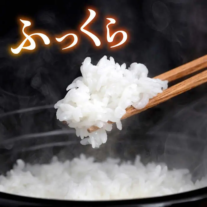 糸島産 ヒノヒカリ 3kg×2袋糸島市 / 平山農園 米 白米 [AXN004] ご飯 お米