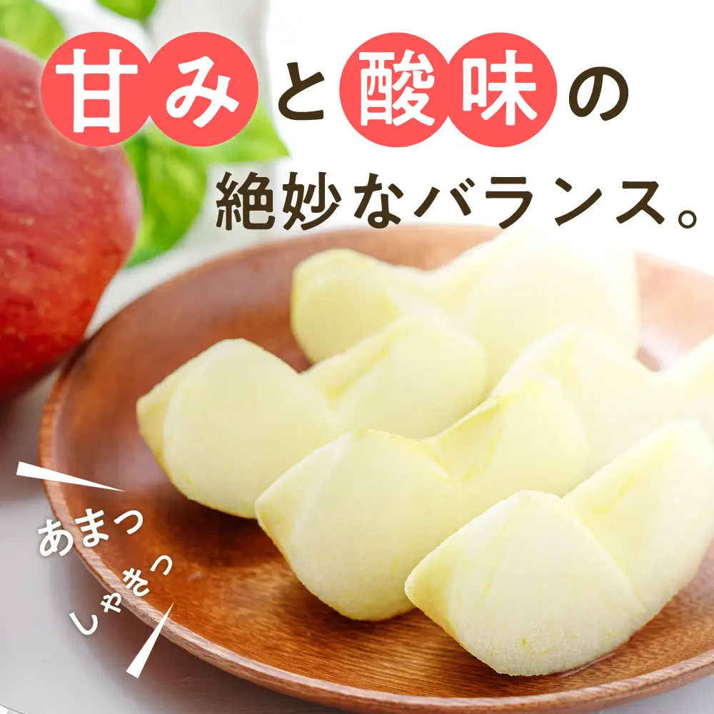 【先行予約】 令和8年産 舘山りんご 品種おまかせ 約2.5kg 9玉 ～ 11玉