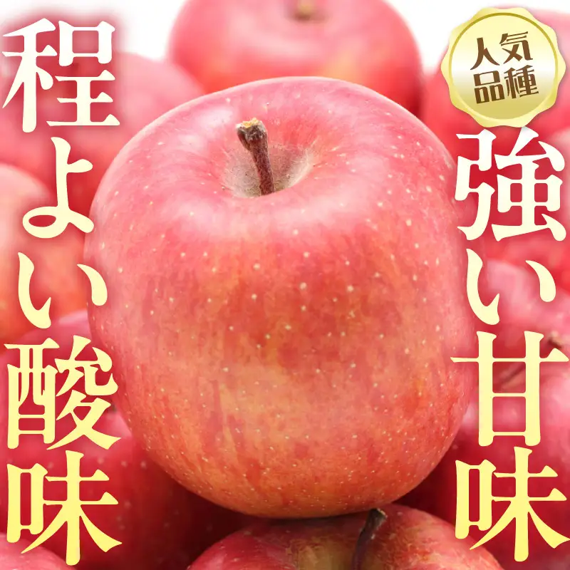 【先行予約】 令和8年産 舘山りんご ふじ 約5kg 16玉 ～ 20玉