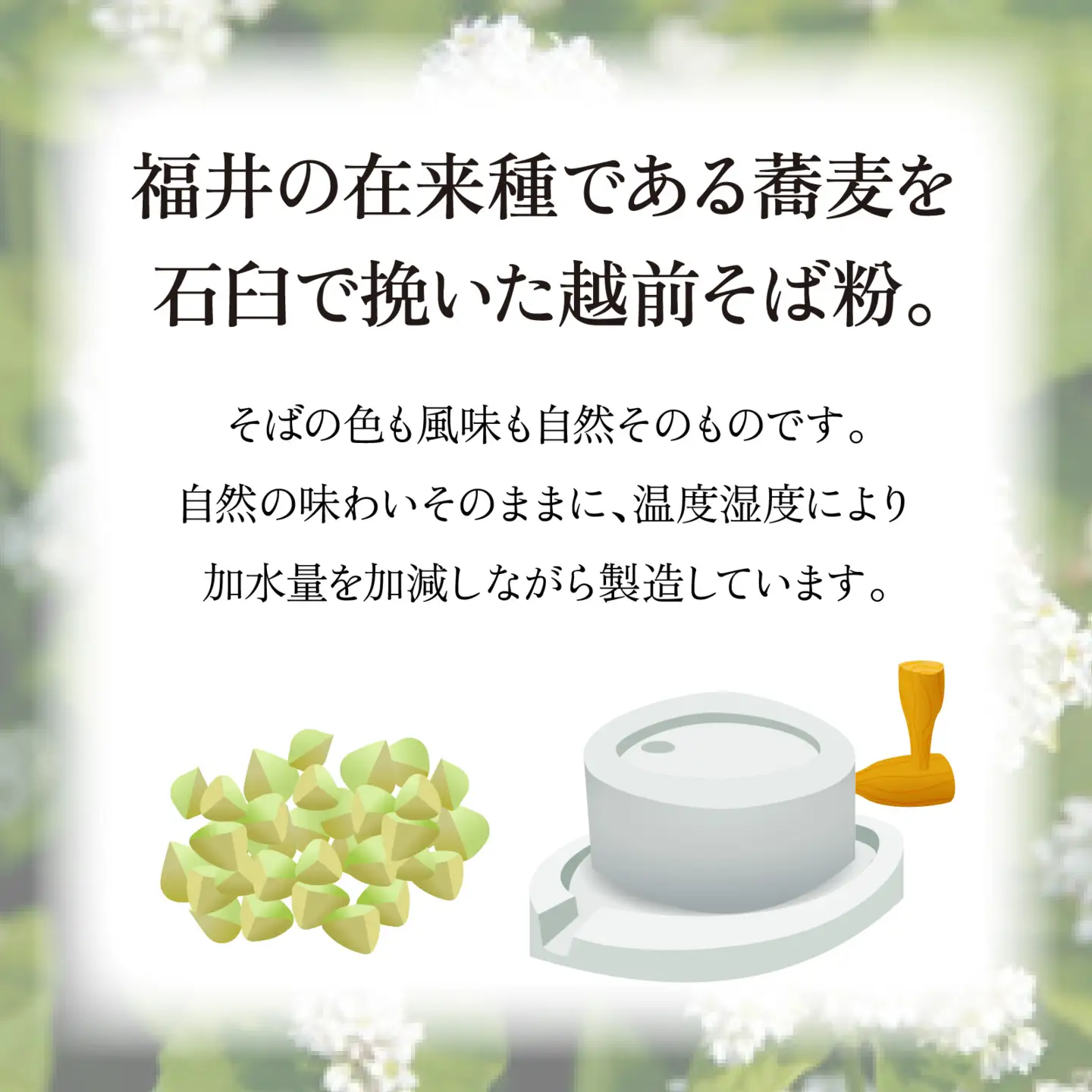 越前生そば 14食入（110g/1食）だし付 [A-067003] / そば そば