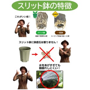 スリット鉢 7号 4色 カラーセット 植木鉢 植物 果樹 野菜 観賞用 園芸 花 カーメン君 兼弥産業 南知多 愛知