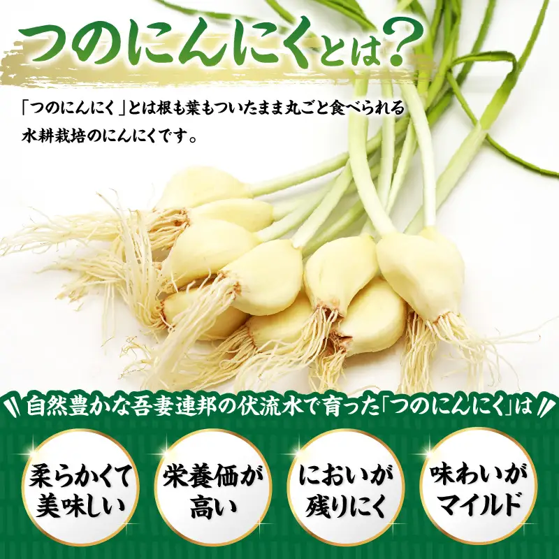つのにんにく 10本 × 4袋 計40本 発芽にんにく