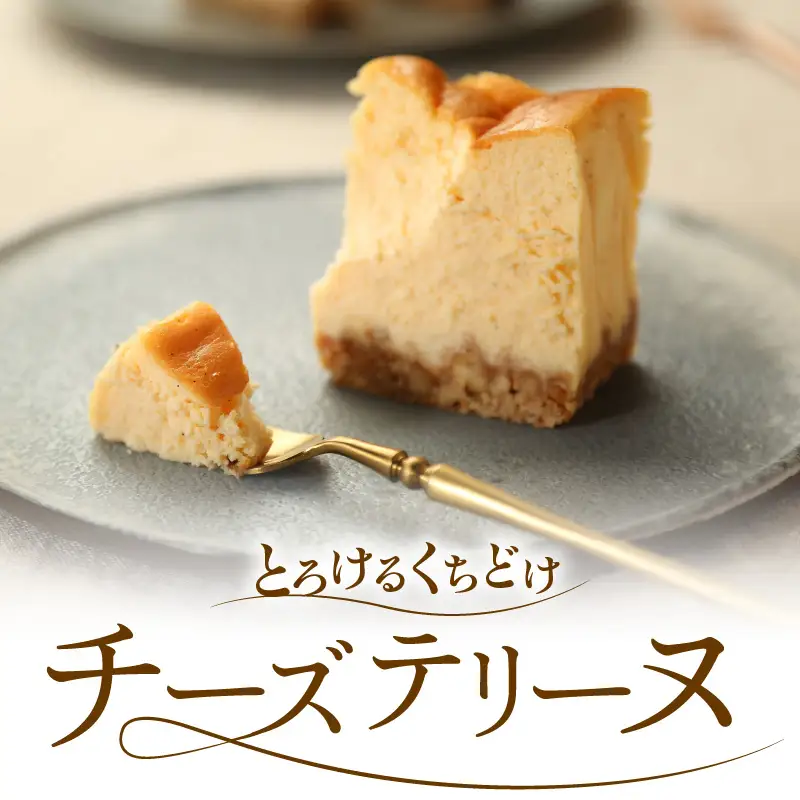 プレミアム チーズ テリーヌ 1本 390g チーズ ケーキ
