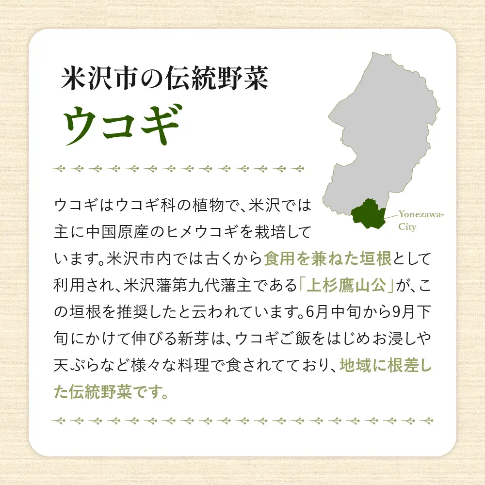 Ukogi Herb Tea ( ウコギハーブティー ) 3種 ミックスパック ウコギ100% カモミールブレンド ペパーミントブレンド 各2個 計6個入り ティーバッグ