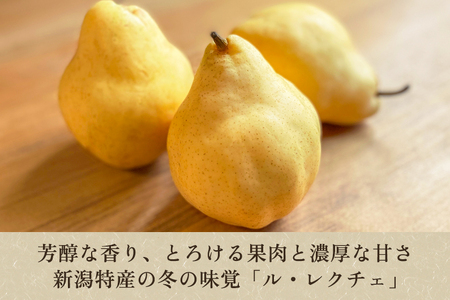 【2024年】新潟特産 幻の洋梨 ル・レクチェ 2kg 【家庭用】（5～7玉）《11月下旬から順次発送》果物 フルーツ 新潟特産 加茂市産ル・レクチェ 梨 西洋梨 加茂市 源ちゃん農園