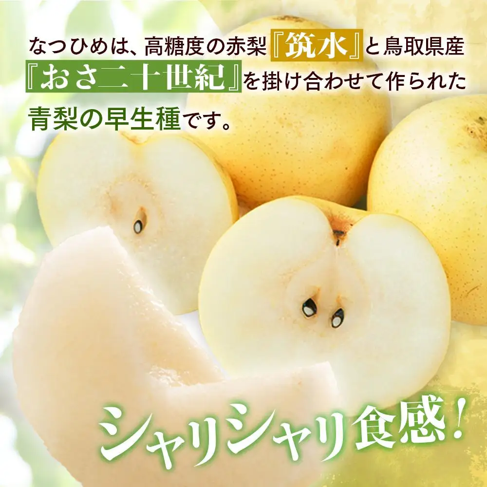 梨 なつひめ 鳥取産 5kg× 1箱