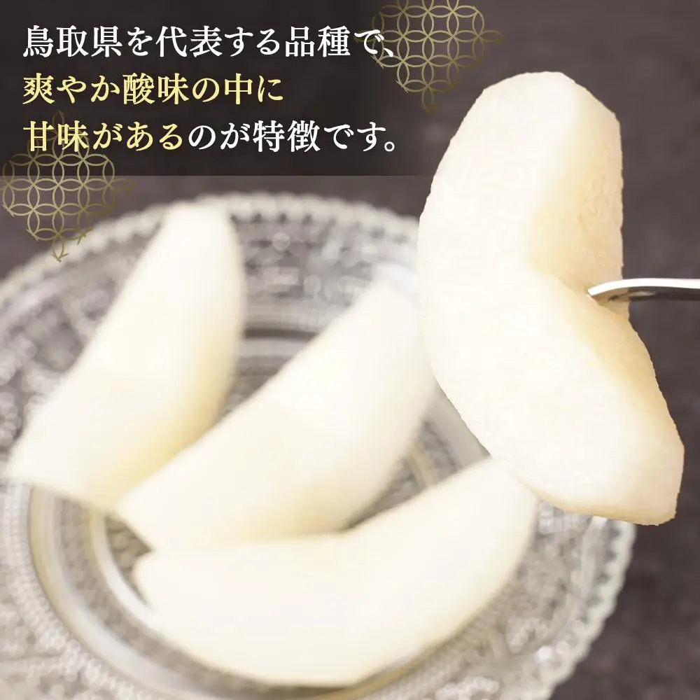 梨 二十世紀梨 鳥取産 5kg× 1箱
