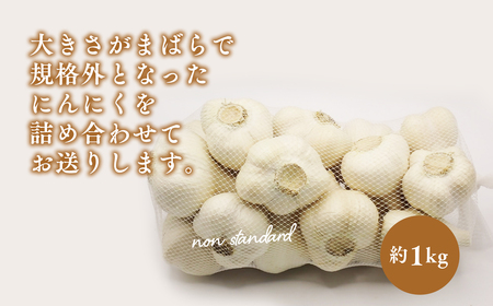 にんにく　 訳あり（規格外）約1kg〈hi-0042-007〉
