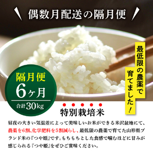 【先行予約】隔月定期便 全6回 つや姫 5kg × 6回 計 30kg 〈2026年10月から偶数月配送〉特別栽培米 節減対象農薬：当地比6割減 化学肥料：当地比5割減 ブランド米 産地直送 2026年産 精米 米 山形 ご飯 山形県 米沢市