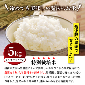 【先行予約】令和8年産 ミルキークイーン 5kg 特別栽培米 【節減対象農薬：当地比 6割減・化学肥料：当地比 5割減】 産地直送 2026年産 