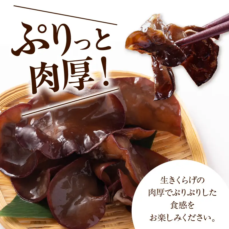 期間限定 生きくらげ 200g×6パック 計1.2kg キクラゲ