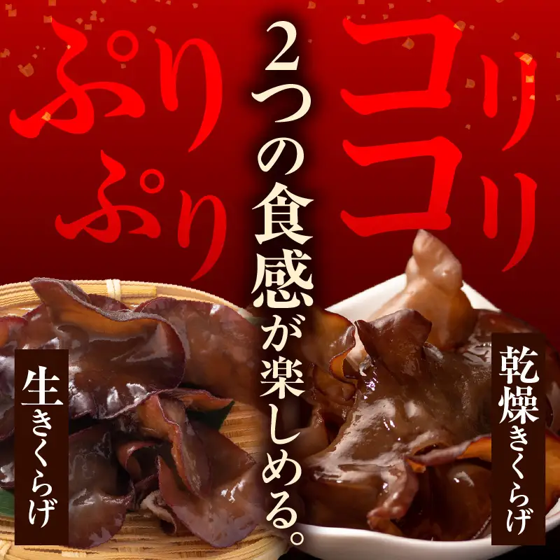 期間限定 生きくらげ 乾燥きくらげ セット
