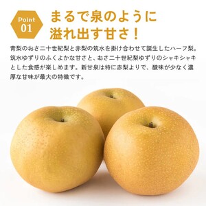 Y304 新甘泉（秀） 2.5kg