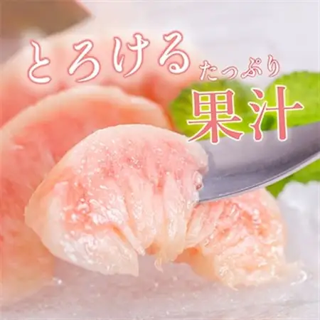 先行受付!　桃の王様【白鳳】　特秀品　食べきりやすい3個入り【配送不可地域：離島】【1525339】