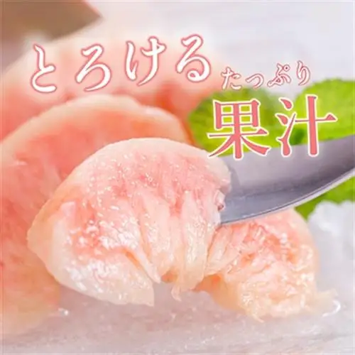 先行受付!　桃(特秀品)食べきりやすい3個入り【配送不可地域：離島】【1525342】