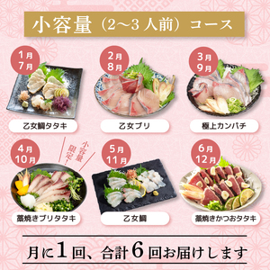 【限定500セット】 定期便 6回 小島水産 お刺身 海鮮 魚介 少量コース | 魚介定期便 海鮮定期便 6ヶ月海鮮定期便 お刺身定期便 KS30000