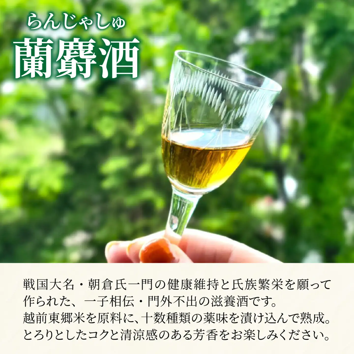 蘭麝酒 720ml ２本詰合せ【滋養酒 16度 お酒 ギフト お祝い】[B-154001]