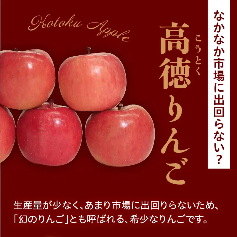 【先行予約】令和8年産 高徳りんご 秀以上 約1.8kg りんご