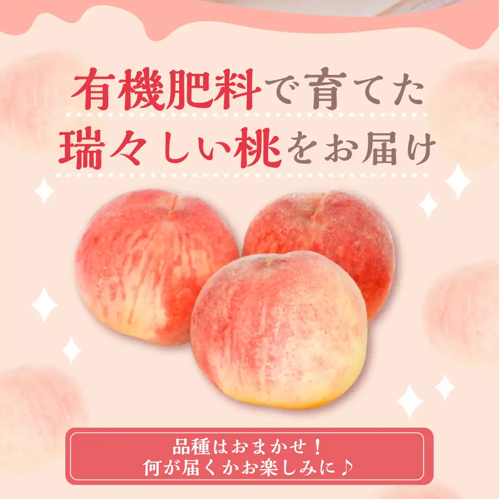  【 令和8年産 】 白桃 （ もも ） 3kg ( 6 ～ 11玉 ) 品種 おまかせ 〔 8月上旬 ～ 9月上旬頃お届け 〕 2025年産 産地直送