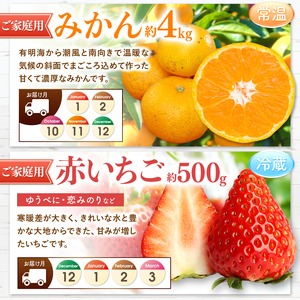 【 定期便 6回 】 2ヵ月毎にお届け！プチっと 堪能 ！ 人気 フルーツ |（ いちご 白いちご みかん 不知火 スイカ ぶどう 梨 柿 果物 ） | フルーツ定期 フルーツ定期便 定期便 果物 フルーツ 熊本県 玉名市