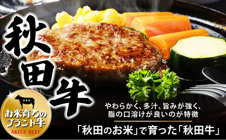 秋田牛ハンバーグ720g（120g×3個　2セット）　115P2601【東日本物産 】