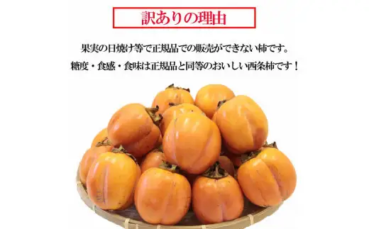 島根県出雲市産　【訳有】ひらたの柿　大玉西条柿（渋抜き済）
