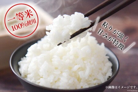 米 令和7年 ばんどり米 コシヒカリ 精米 5kg 4袋 計20kg 9回 定期便 総計180kg